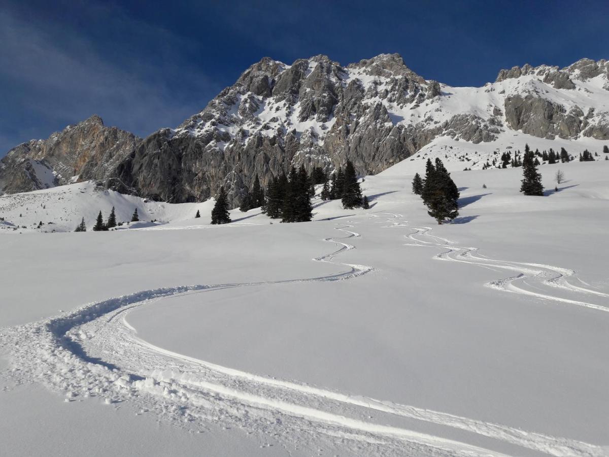 Appartement Gipfelblick- Tiroler Zugspitze Arena In Biberwier Buitenkant foto