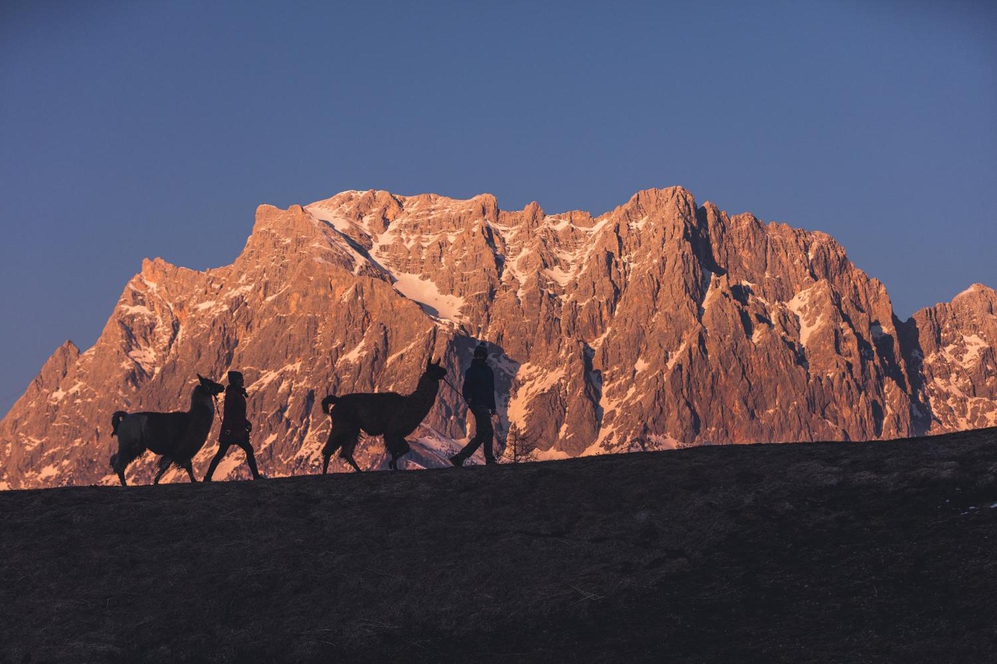 Appartement Gipfelblick- Tiroler Zugspitze Arena In Biberwier Buitenkant foto